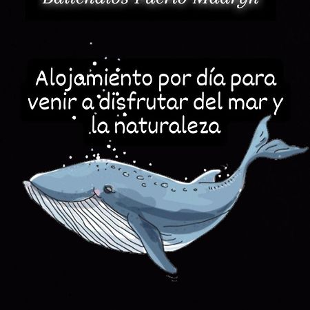 Ballenatos Madryn Puerto Madryn Ngoại thất bức ảnh