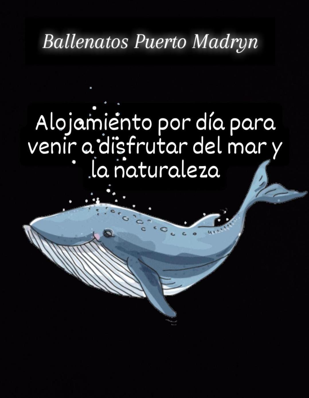 Ballenatos Madryn Puerto Madryn Ngoại thất bức ảnh
